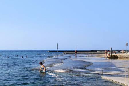 Murin Delfin Umag Exterior foto