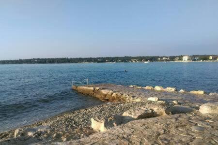 Murin Delfin Umag Exterior foto